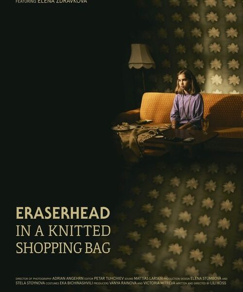 Eraserhead in a Knitted Shopping Bag Movie Poster